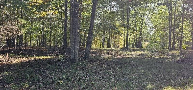 515 Wilderness Way Dunlap TN 37327