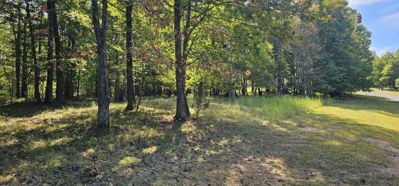 515 Wilderness Way Dunlap TN 37327