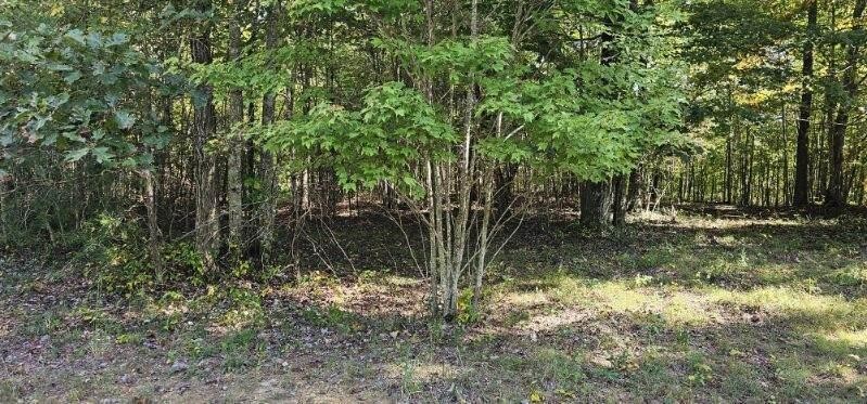 515 Wilderness Way Dunlap TN 37327
