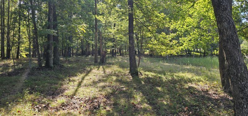 515 Wilderness Way Dunlap TN 37327