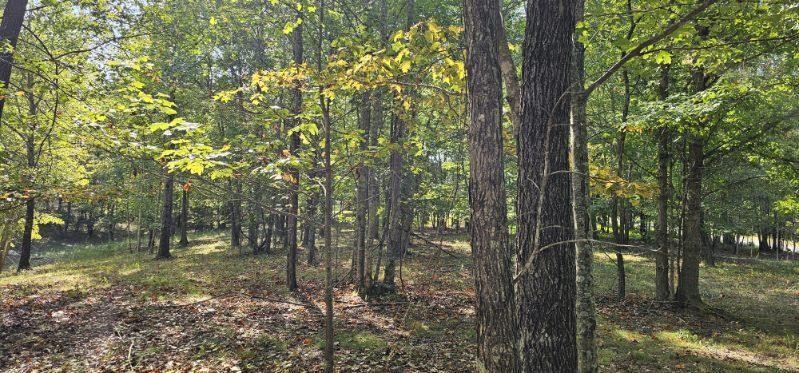 515 Wilderness Way Dunlap TN 37327