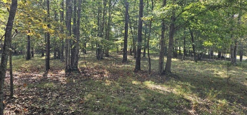 515 Wilderness Way Dunlap TN 37327