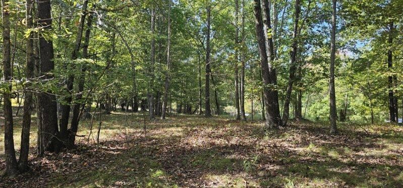 515 Wilderness Way Dunlap TN 37327