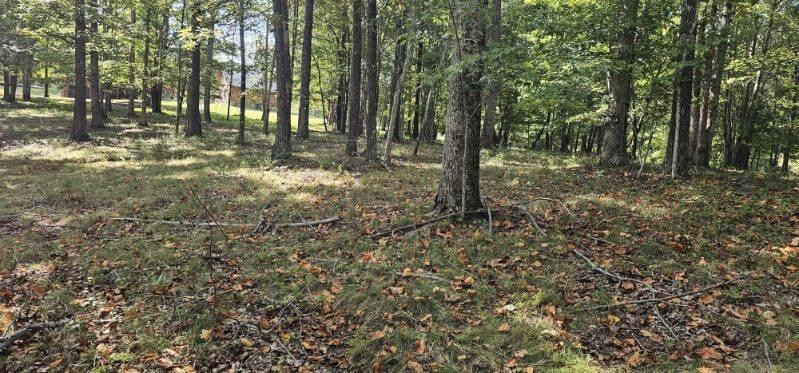 515 Wilderness Way Dunlap TN 37327