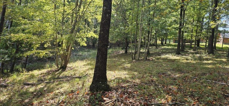 515 Wilderness Way Dunlap TN 37327