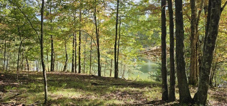 515 Wilderness Way Dunlap TN 37327