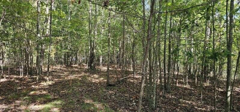 515 Wilderness Way Dunlap TN 37327