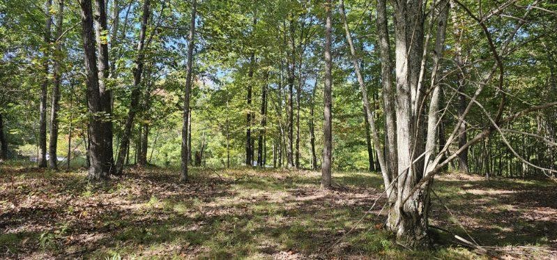 515 Wilderness Way Dunlap TN 37327