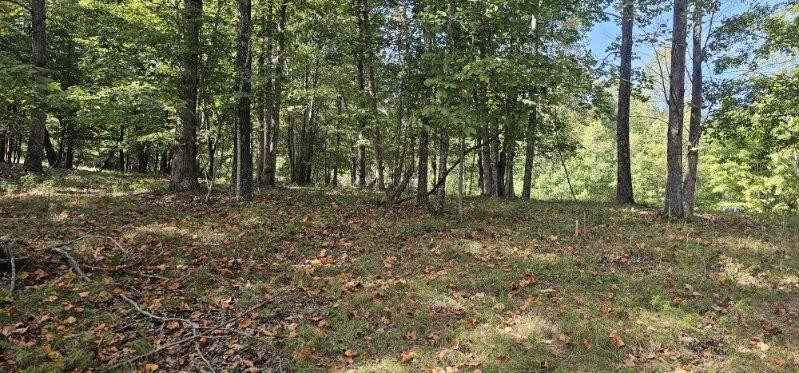 515 Wilderness Way Dunlap TN 37327