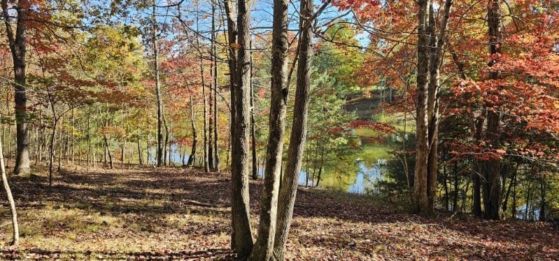 515 Wilderness Way Dunlap TN 37327