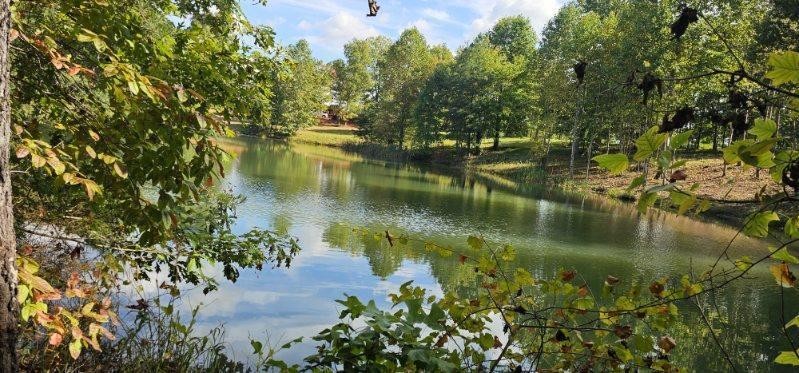 515 Wilderness Way Dunlap TN 37327
