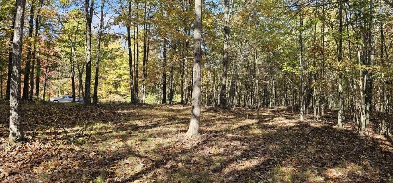 515 Wilderness Way Dunlap TN 37327