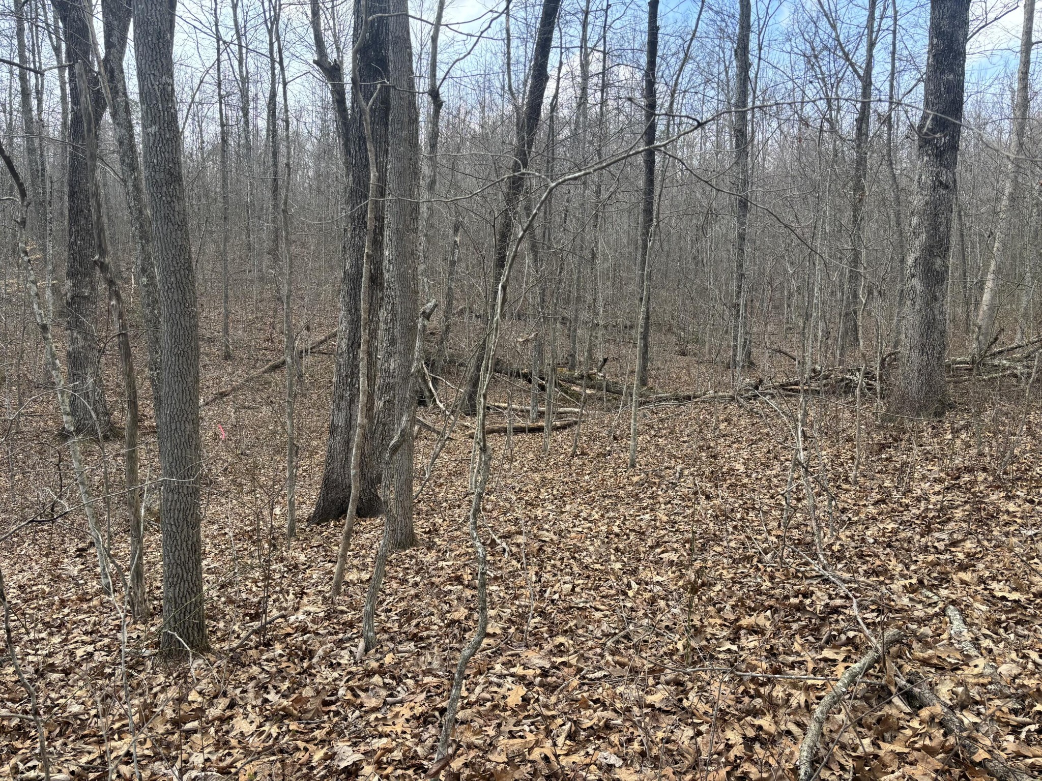 161 Quail Lane Dunlap TN 37327