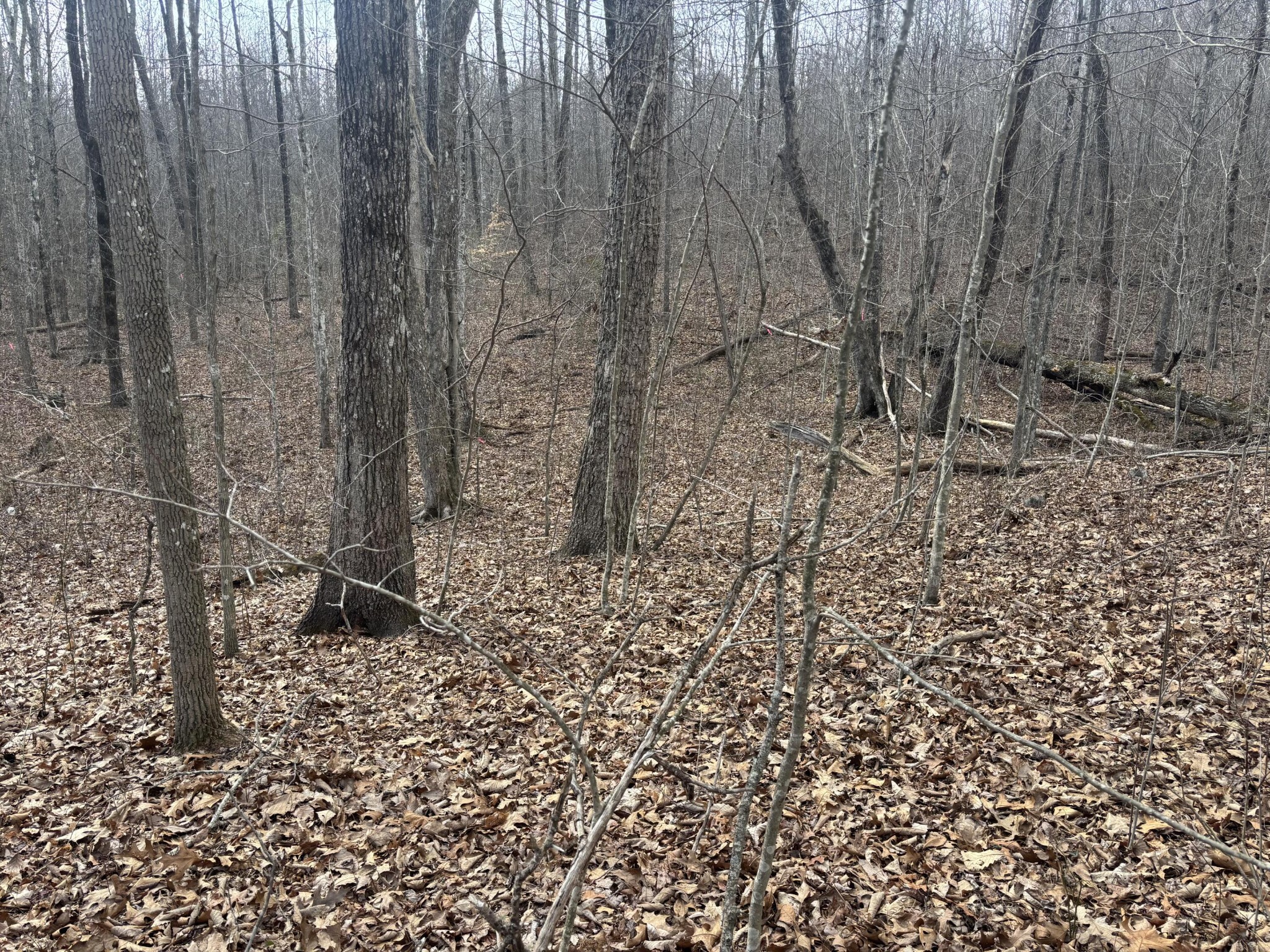 161 Quail Lane Dunlap TN 37327