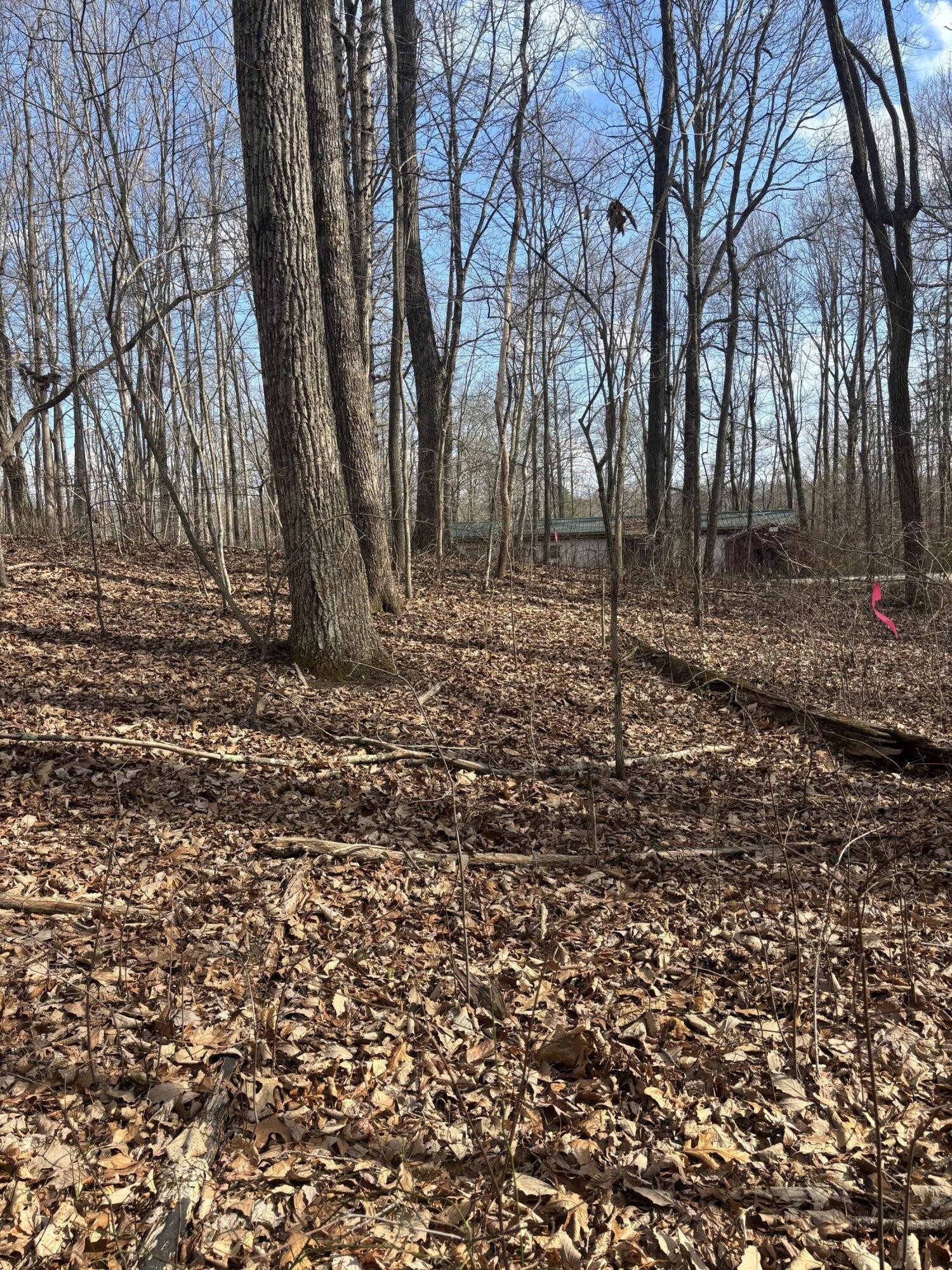 161 Quail Lane Dunlap TN 37327