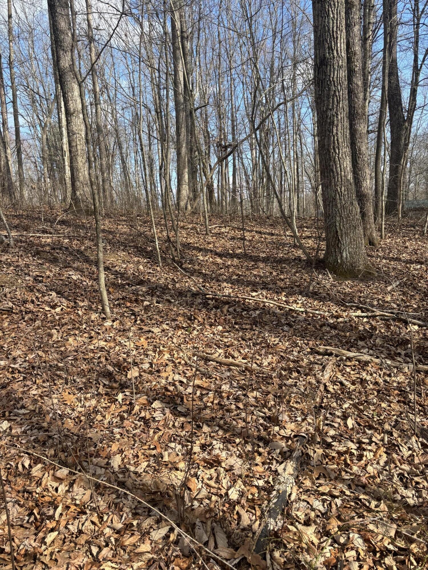 161 Quail Lane Dunlap TN 37327