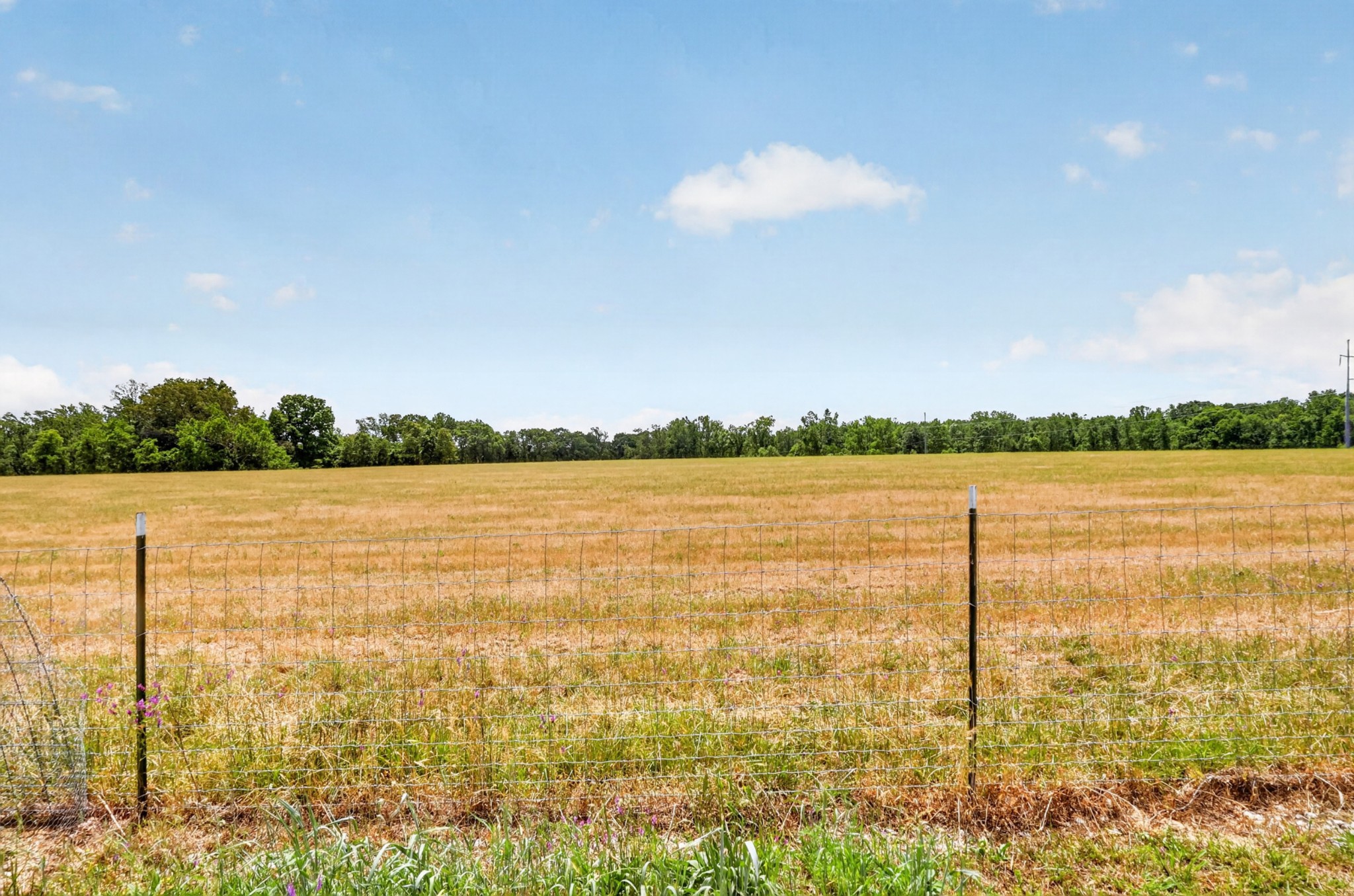 306 Butler Bridge Road Portland TN 37148