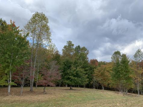 460 Cherokee Path Jasper TN 37347