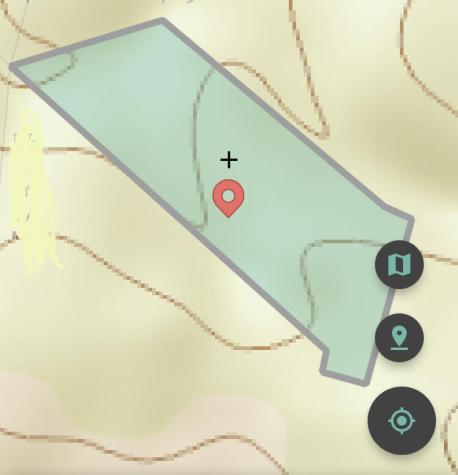 460 Cherokee Path Jasper TN 37347