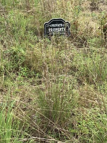 460 Cherokee Path Jasper TN 37347