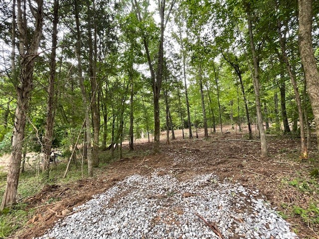 4595 Chapel Hill Road Southside TN 37171