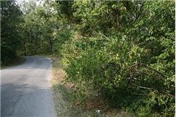 0 Oak Hill Road Lyles TN 37098