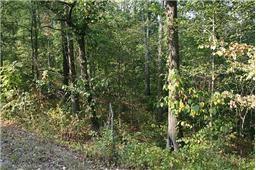 0 Oak Hill Road Lyles TN 37098