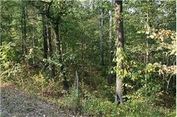 0 Oak Hill Road Lyles TN 37098