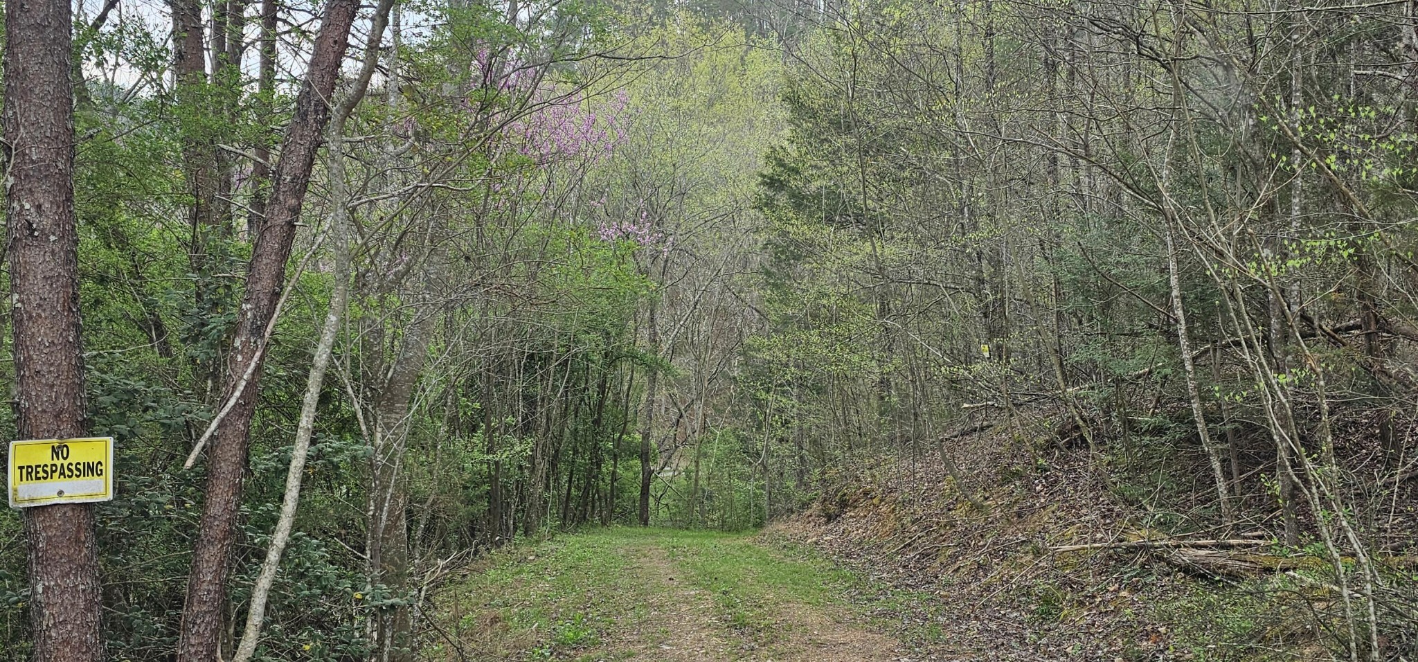 337 Price Road Reliance TN 37369