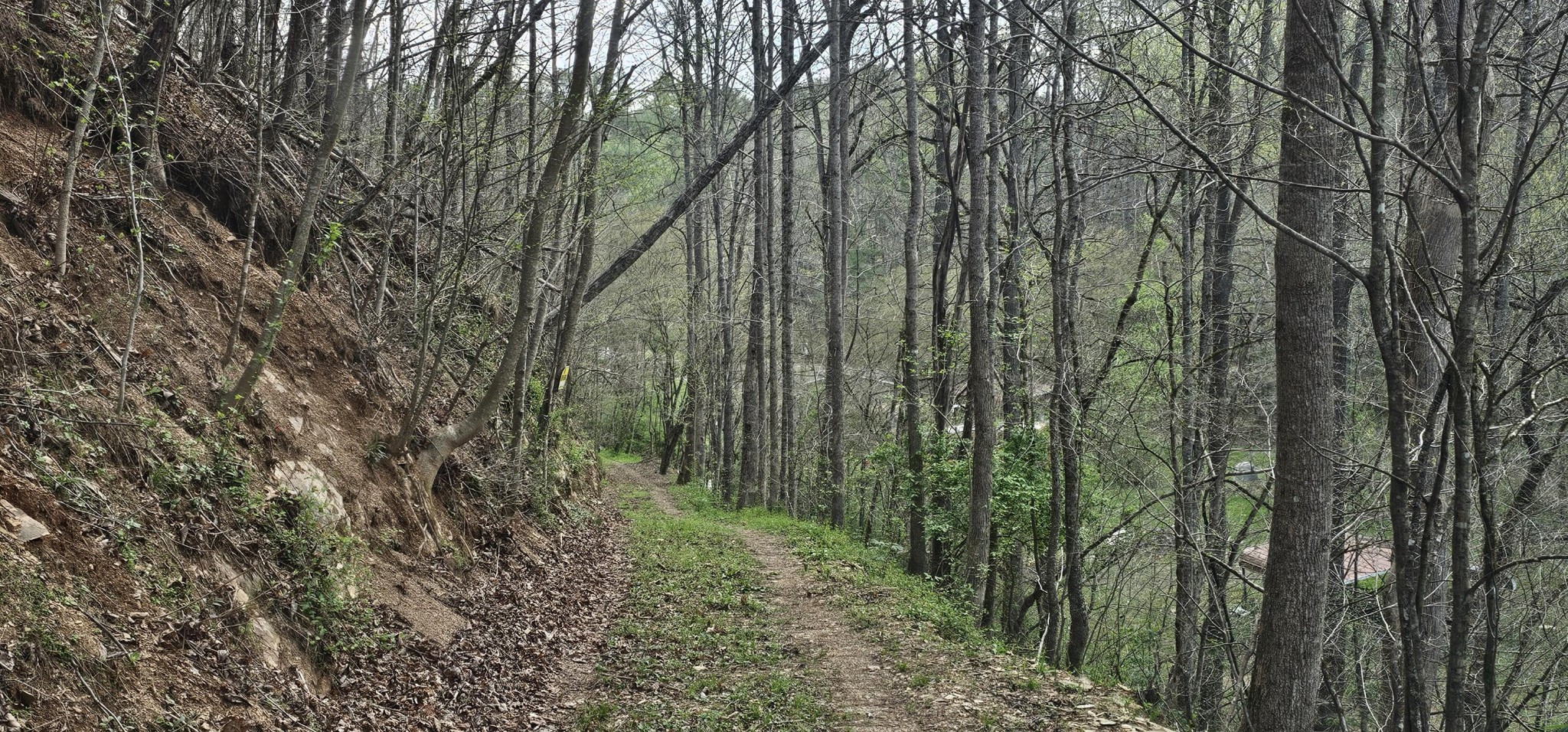 337 Price Road Reliance TN 37369