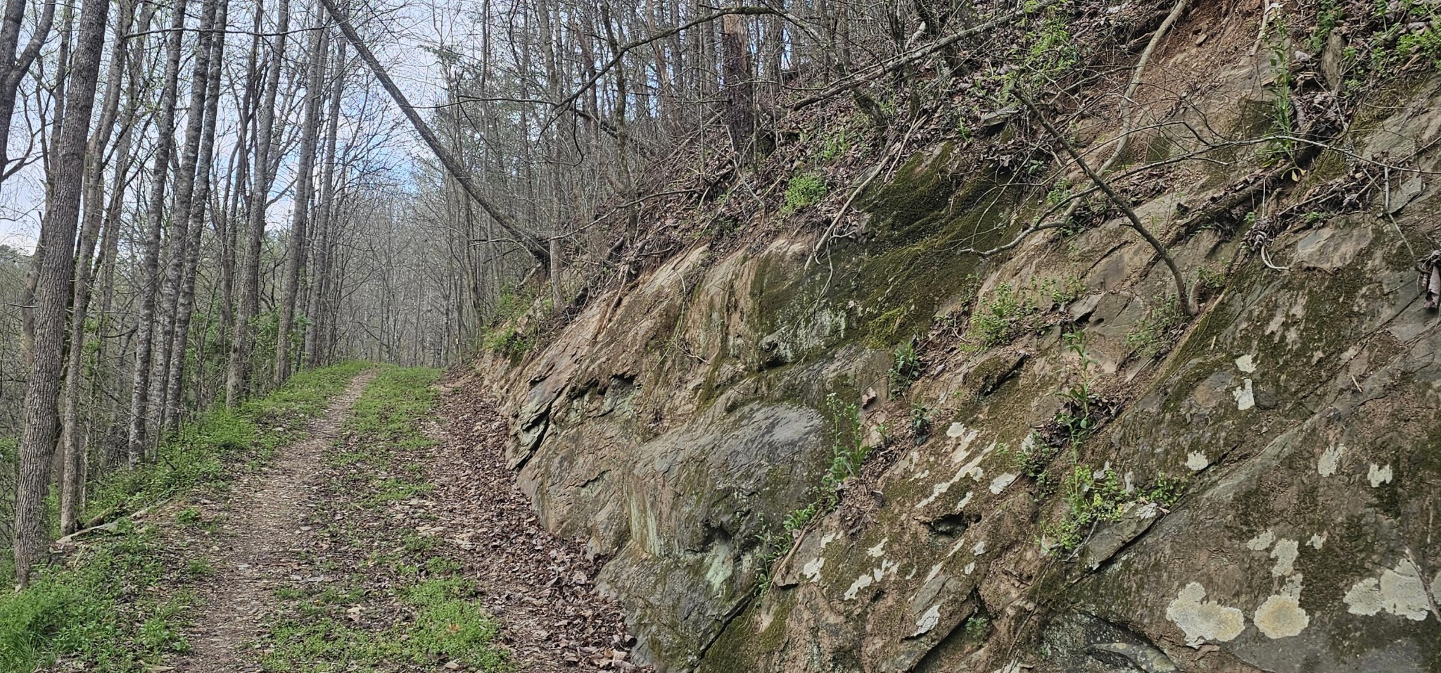 337 Price Road Reliance TN 37369