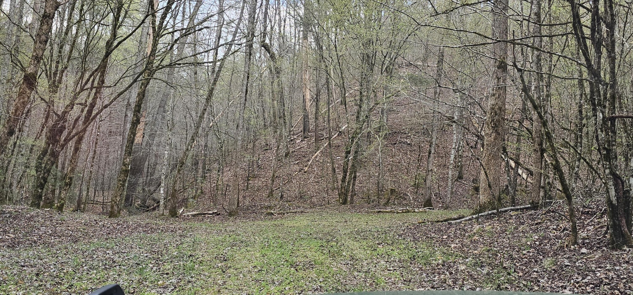 337 Price Road Reliance TN 37369