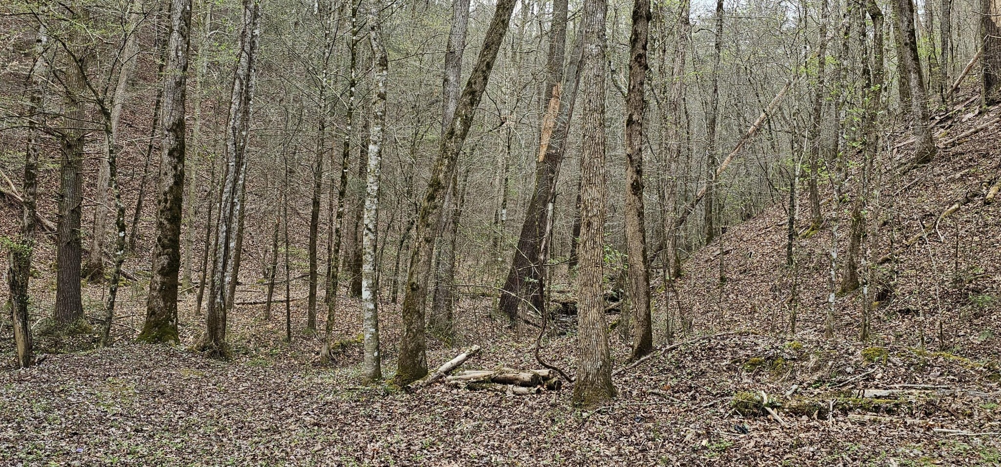337 Price Road Reliance TN 37369