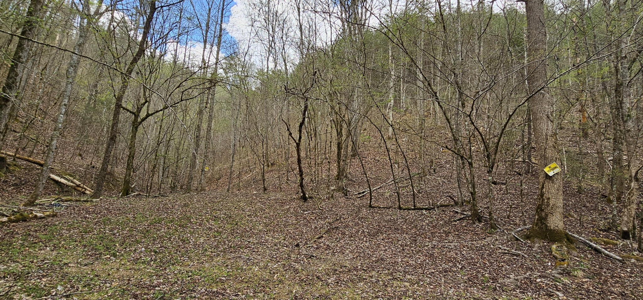 337 Price Road Reliance TN 37369