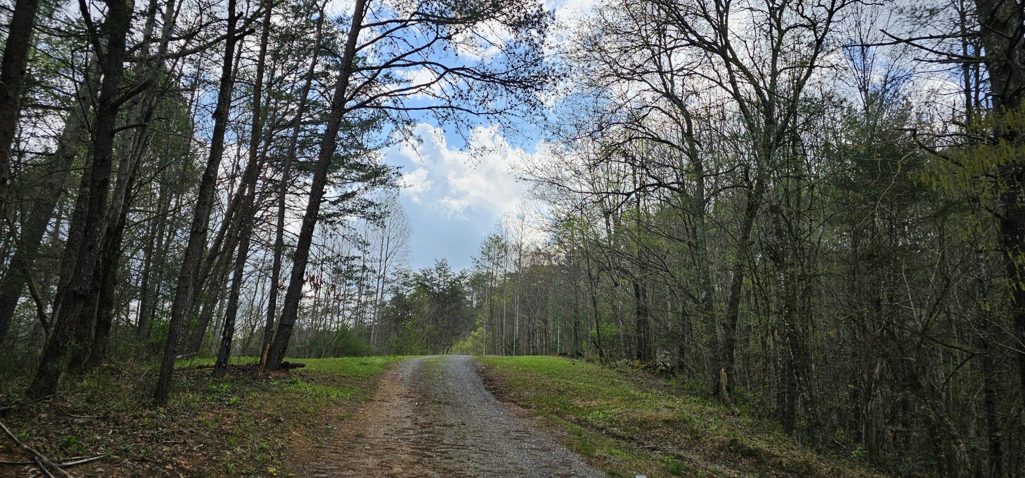 337 Price Road Reliance TN 37369