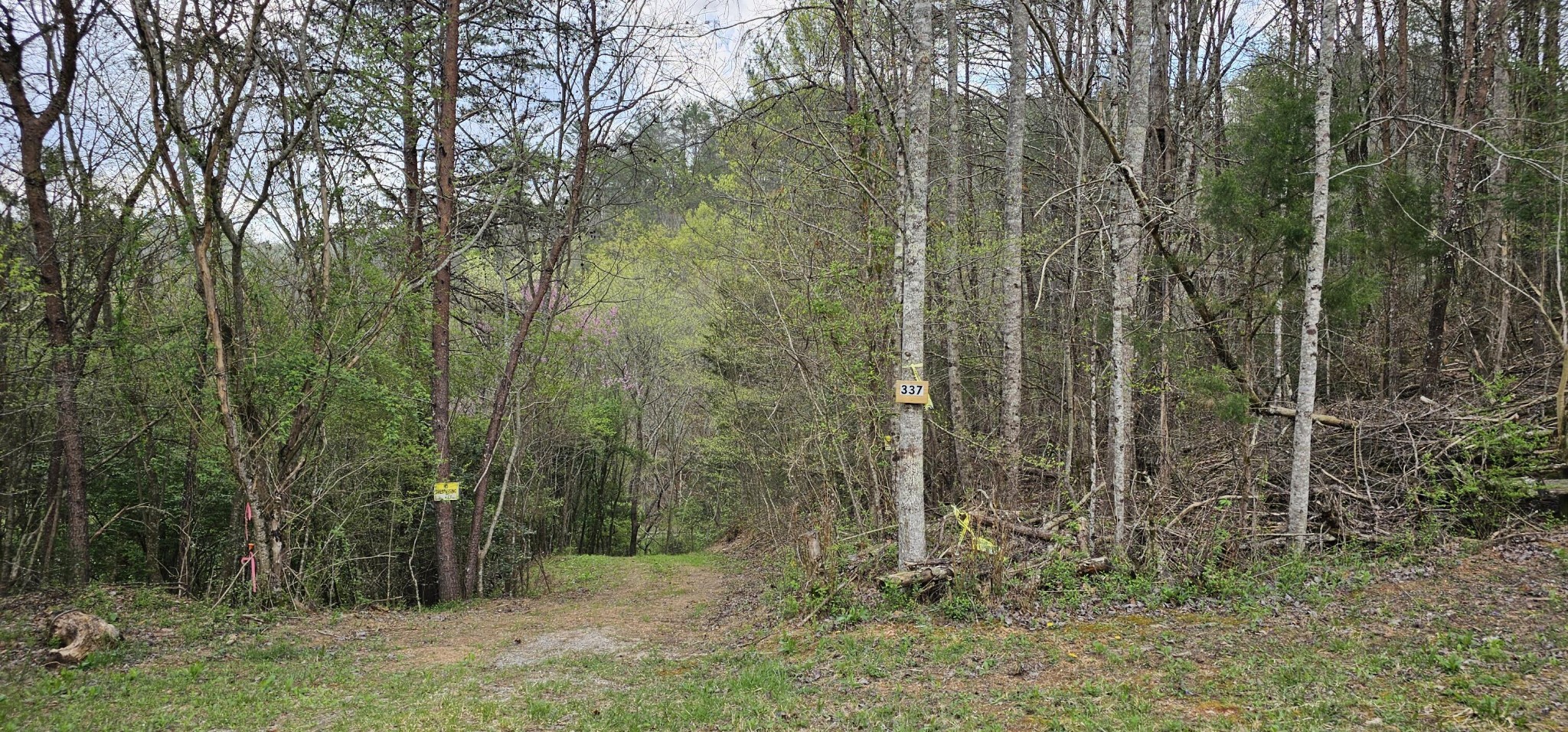 337 Price Road Reliance TN 37369