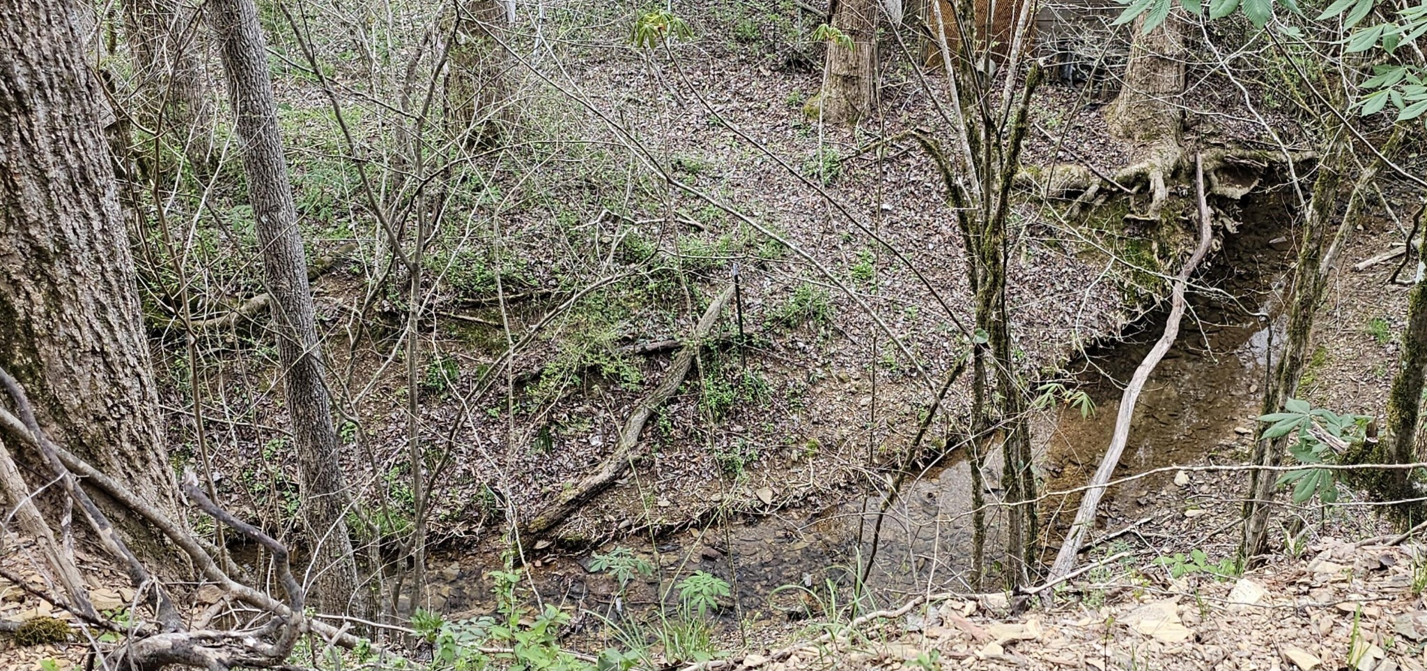 337 Price Road Reliance TN 37369