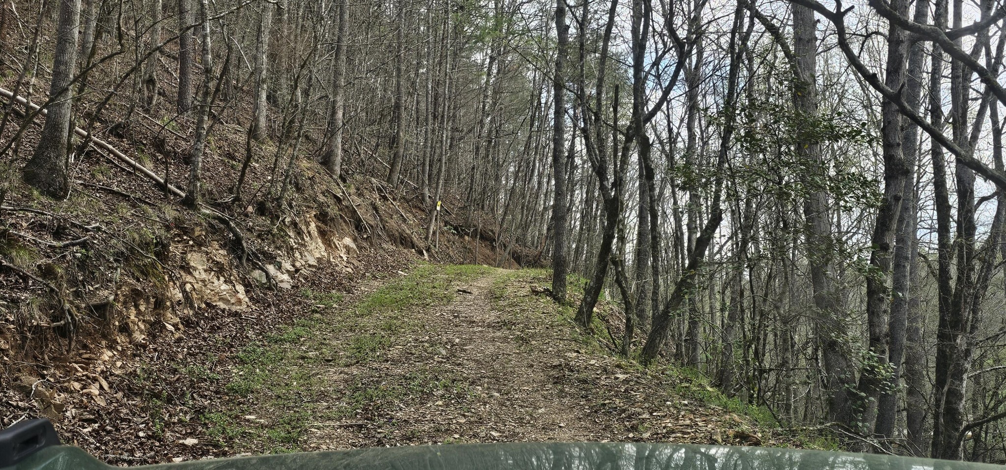 337 Price Road Reliance TN 37369