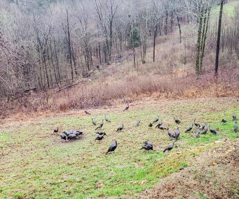 1055 Hunters Landing Lane Smithville TN 37166
