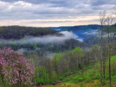 1055 Hunters Landing Lane Smithville TN 37166