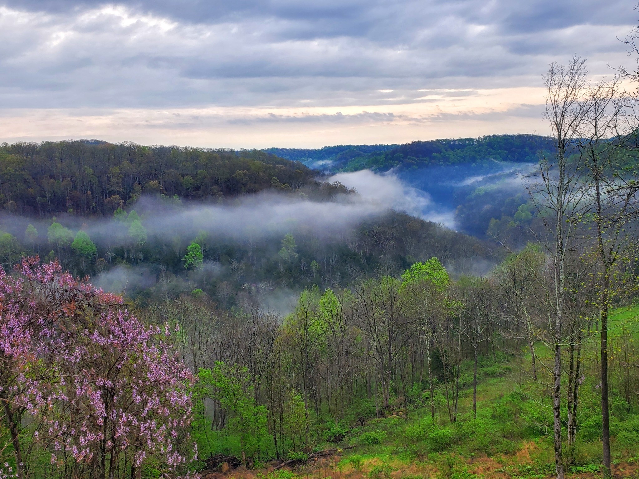 1055 Hunters Landing Lane Smithville TN 37166