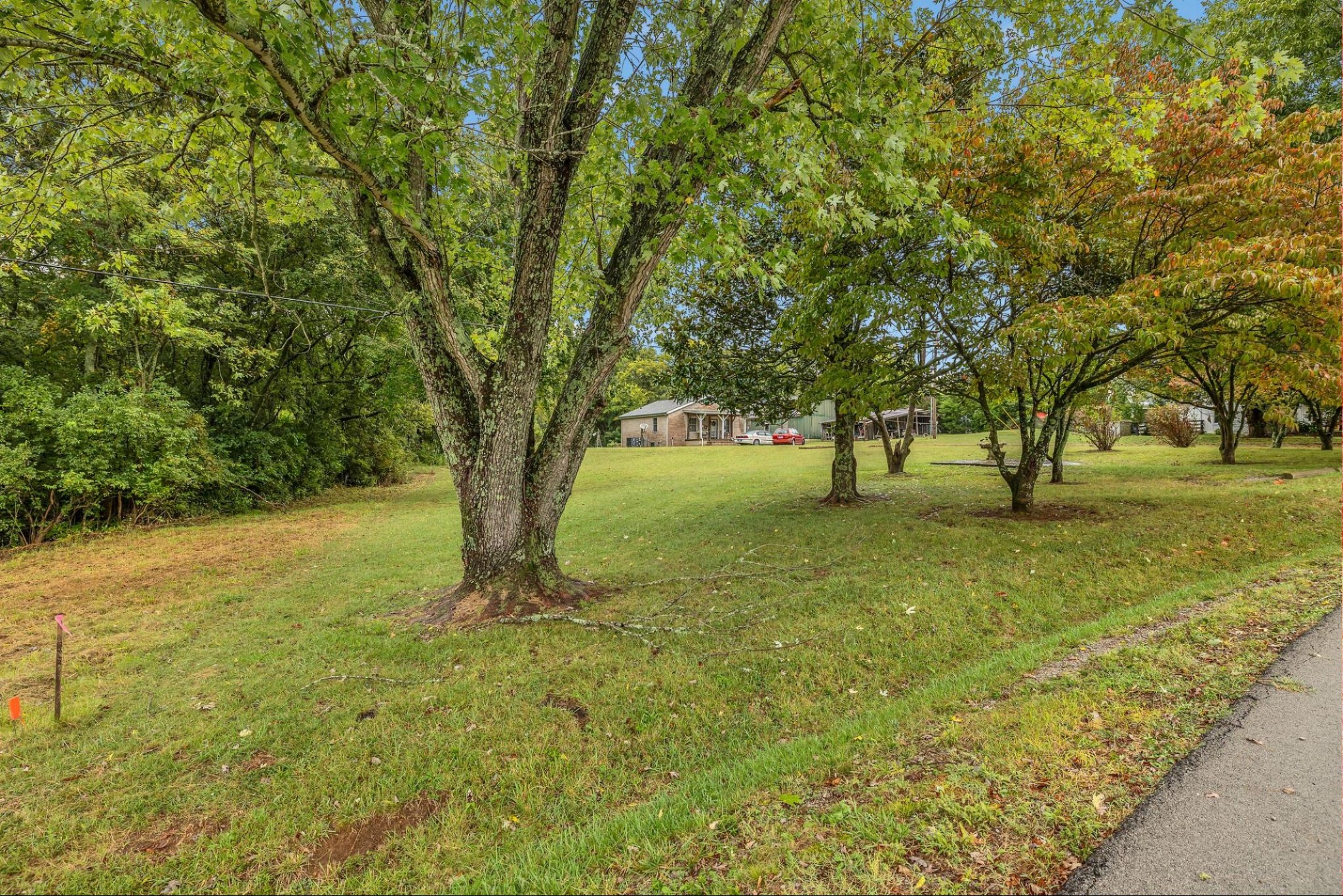 6845 Bizzell Howell Lane College Grove TN 37046