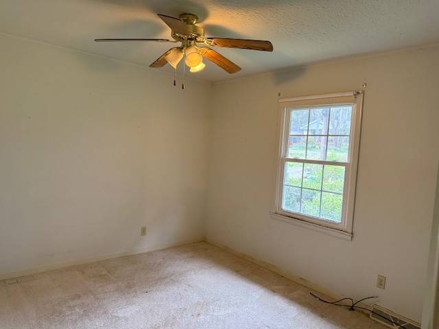 1369 Gip Manning Road Clarksville TN 37042