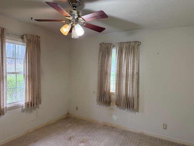 1369 Gip Manning Road Clarksville TN 37042