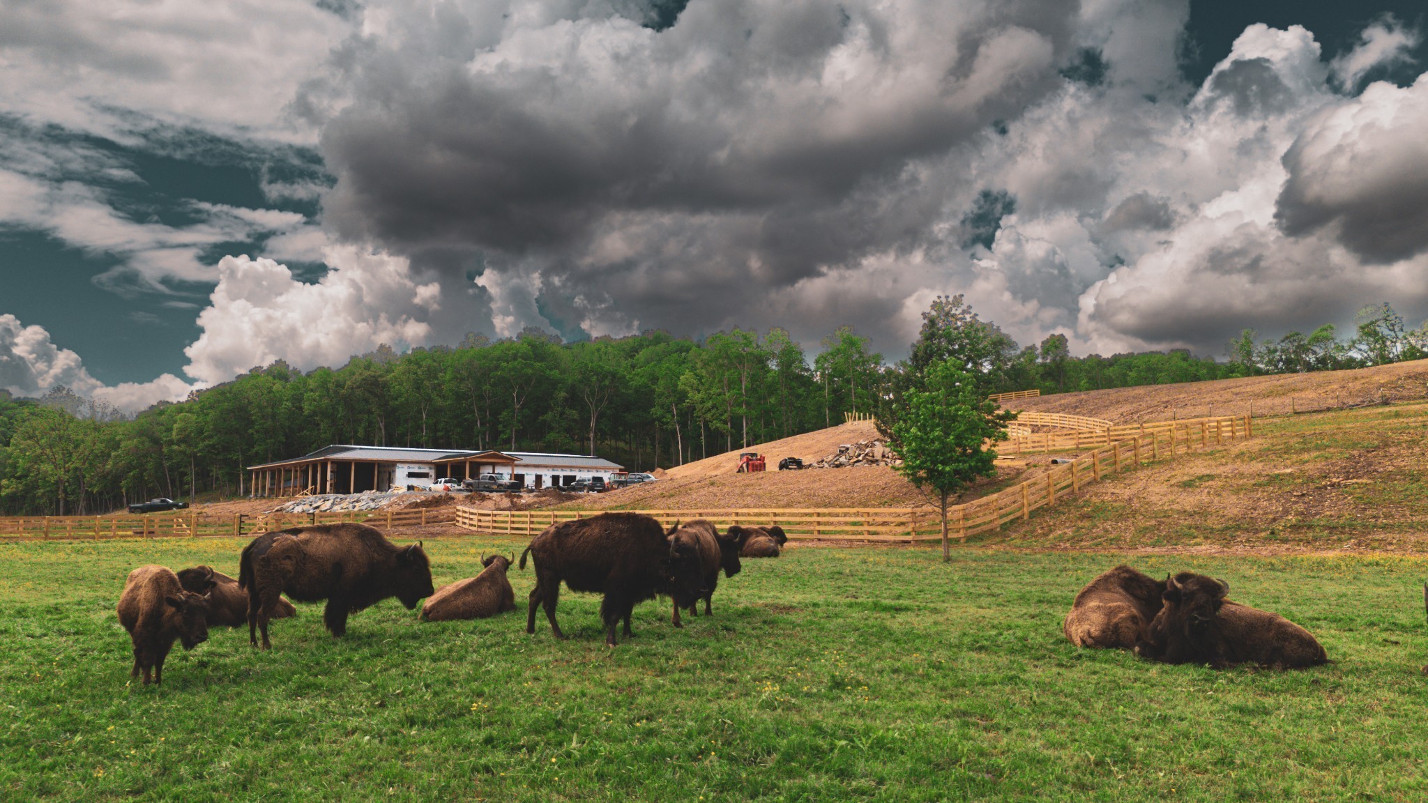 1500 Eagle Pass Joelton TN 37080