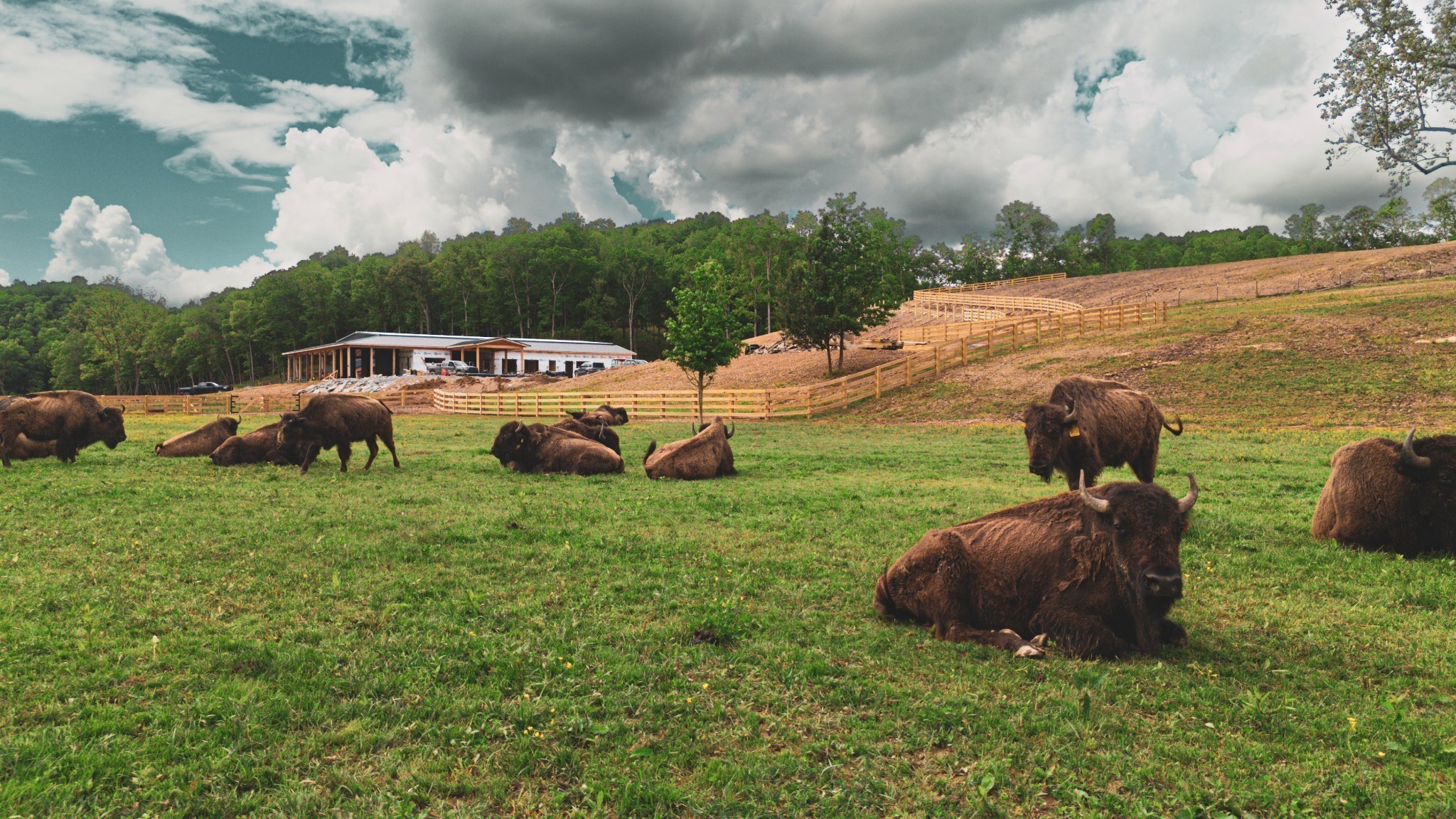 1500 Eagle Pass Joelton TN 37080