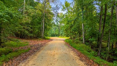 0 Baptist Branch Road, E Mount Pleasant TN 38474