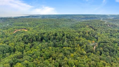 0 Baptist Branch Road, E Mount Pleasant TN 38474