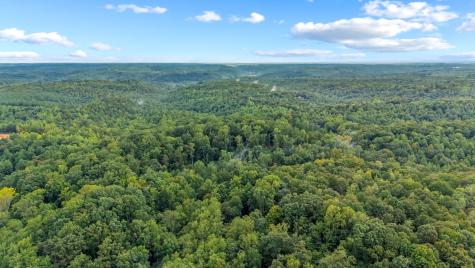 0 Baptist Branch Road, E Mount Pleasant TN 38474