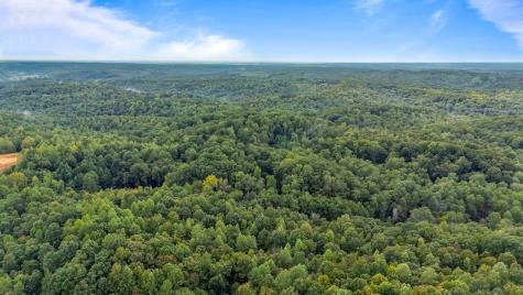 0 Baptist Branch Road, E Mount Pleasant TN 38474